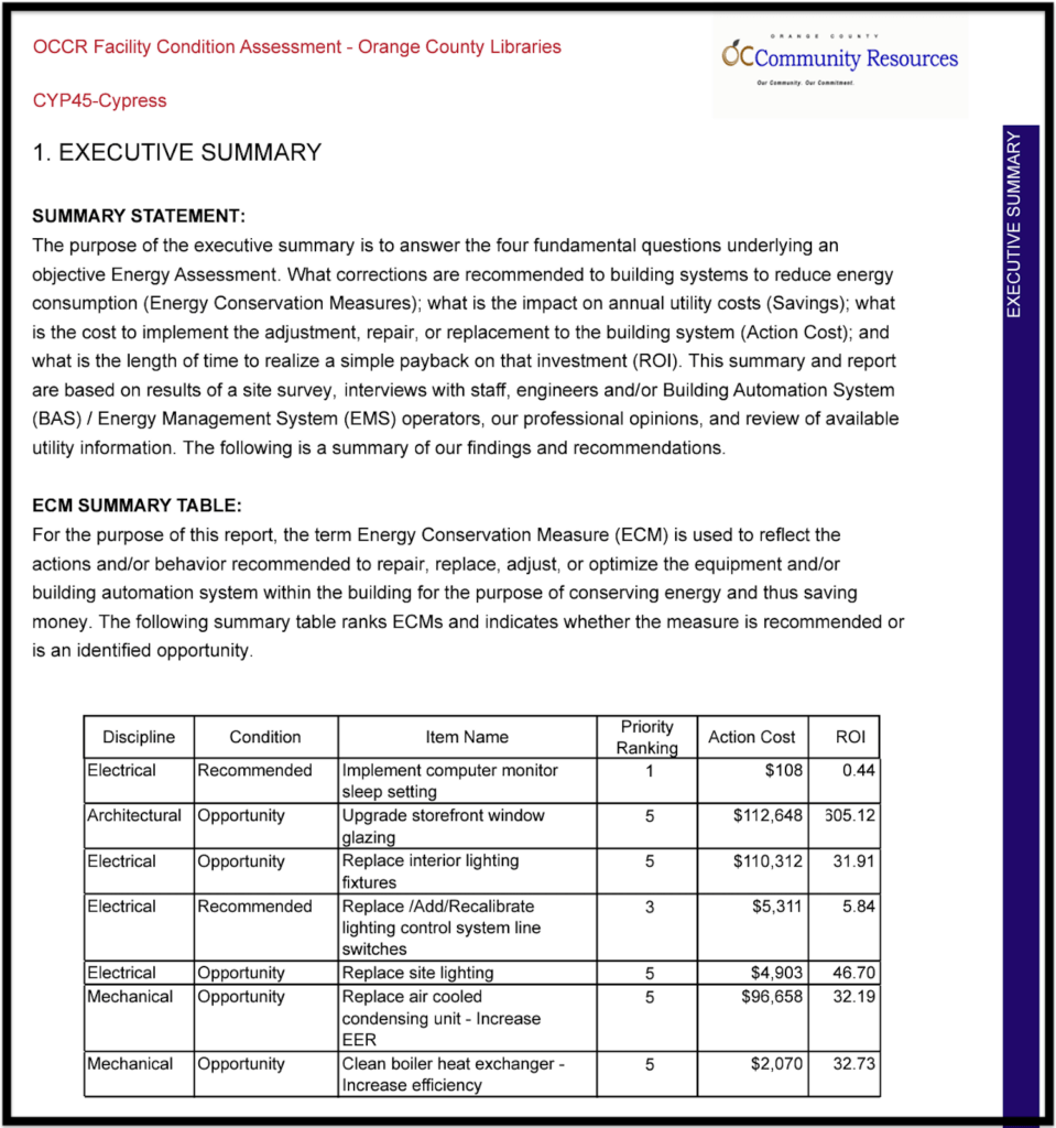 sample report executive summary