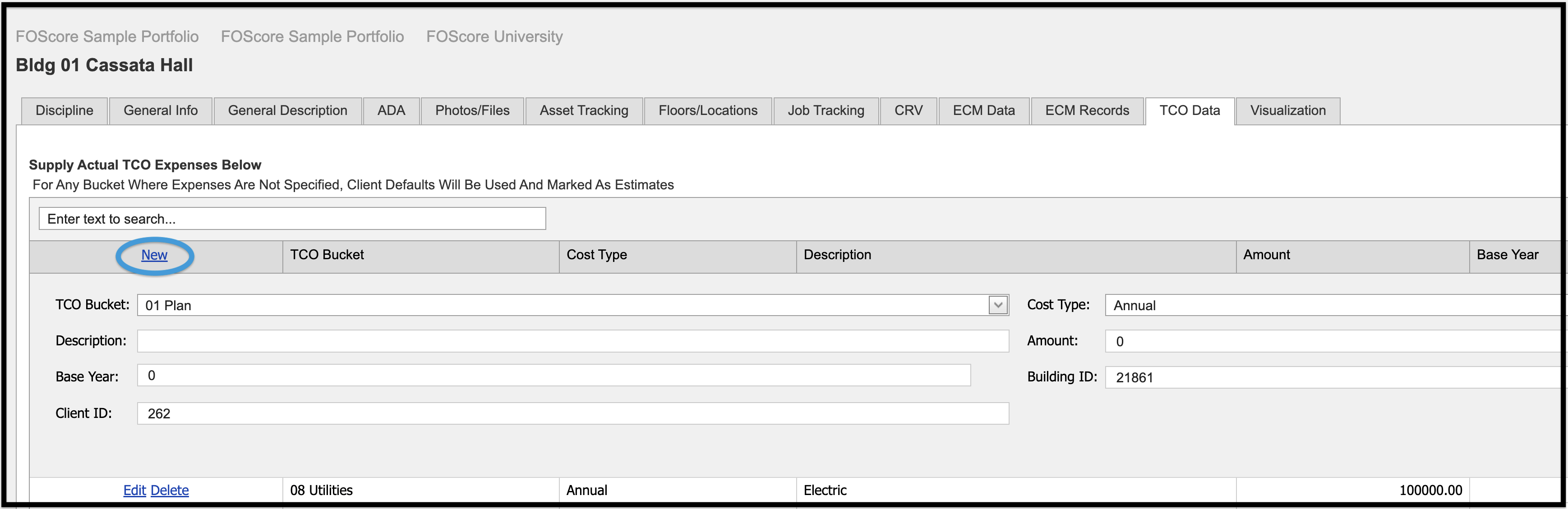 Form for entering actual expenses in the TCO Data tab of Assets module 