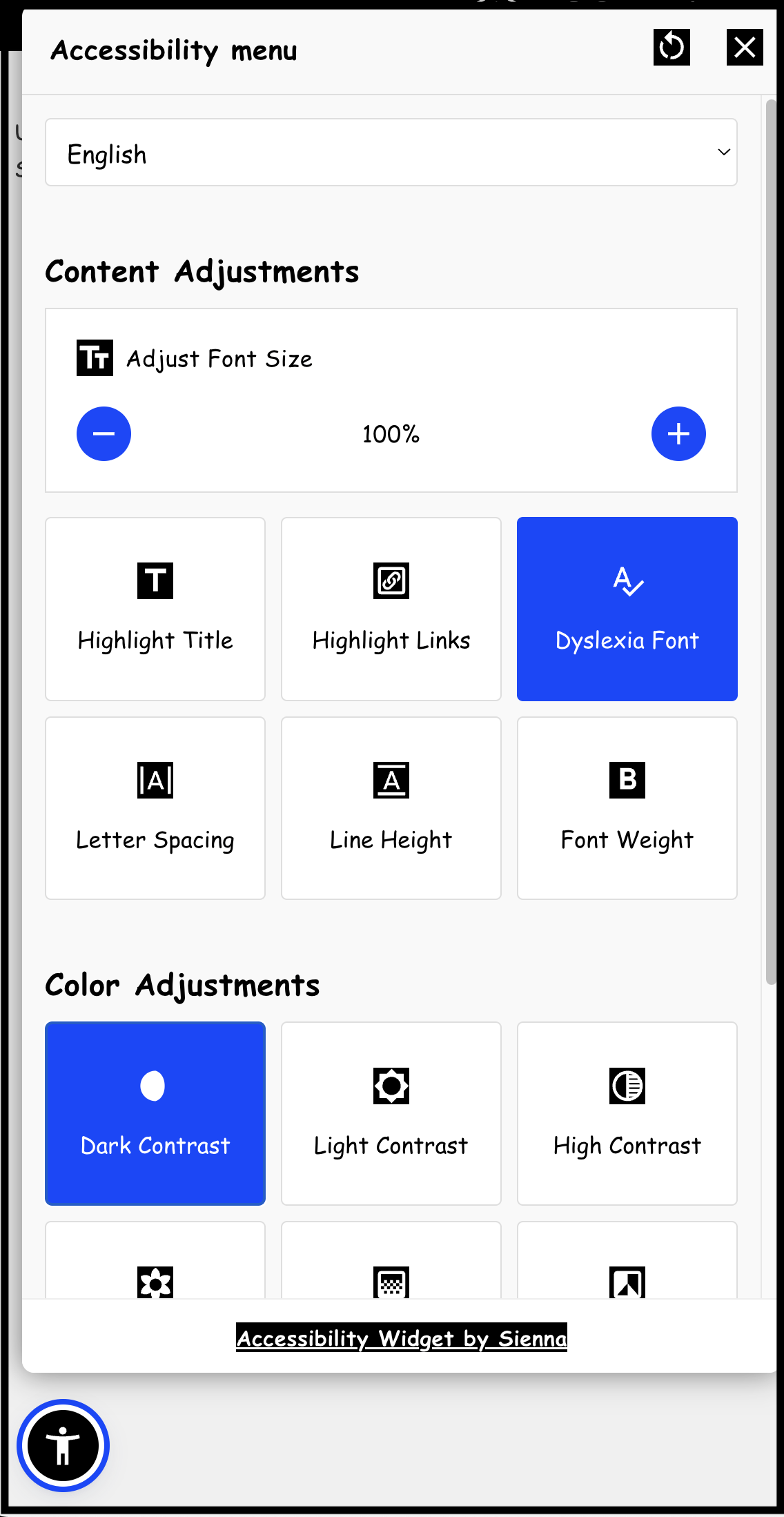 Accessibility menu showing various setting adjustments